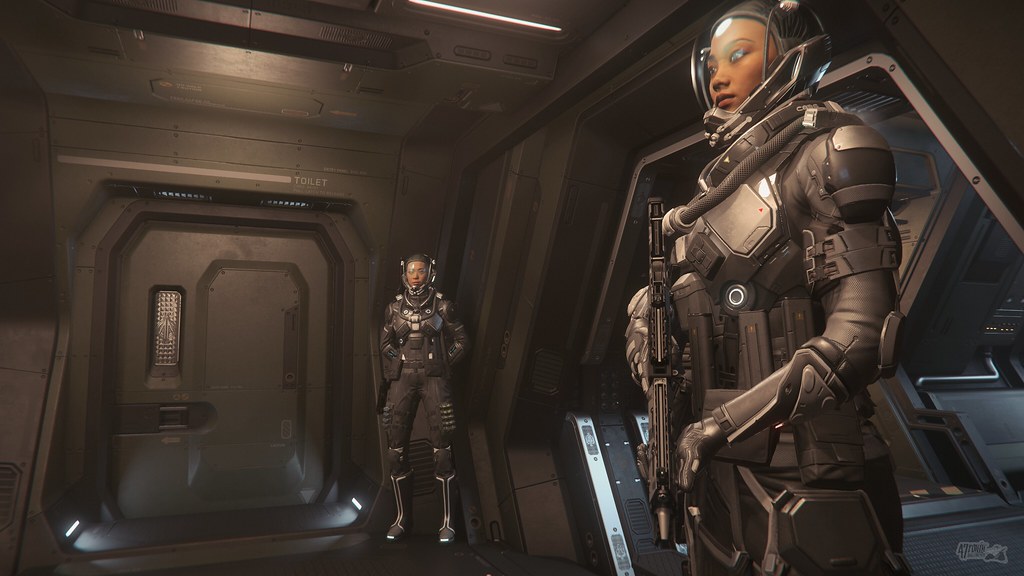 Combat pilots aboard the Valkyrie by instaSHINOBI (BY) via Openverse