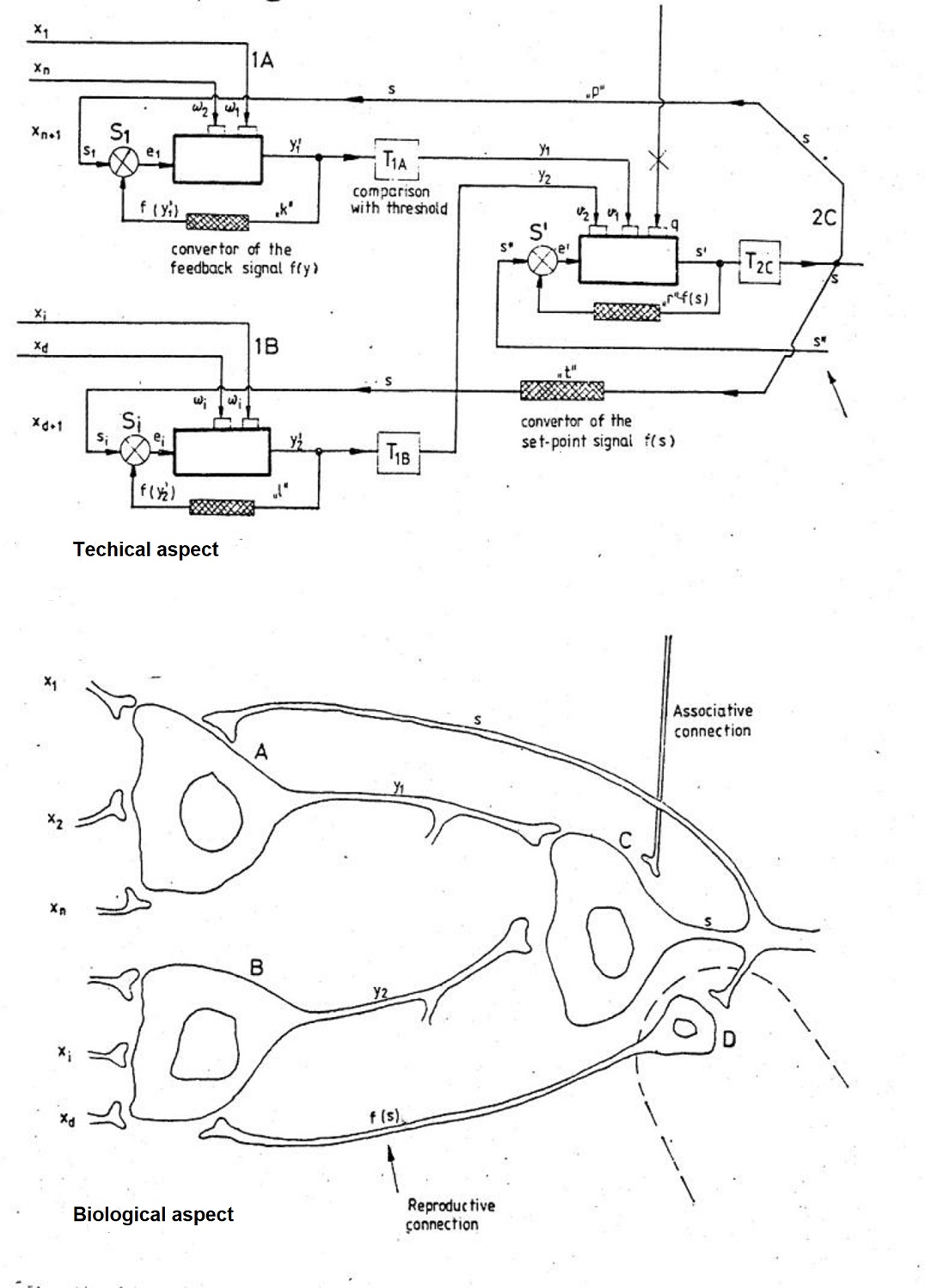 The outline of the equilibrating-memorizing-recognizing and recalling unit by Anneuroscientist (BY-SA) via Openverse