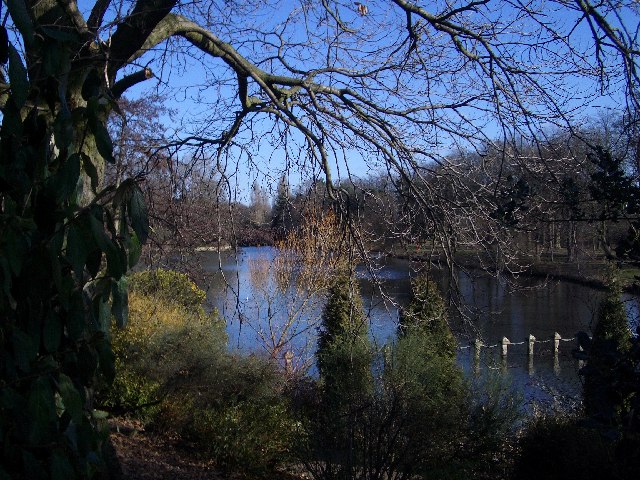West end of Lake on University of Nottingham Campus - geograph.org.uk - 126009 by Dr Dan Marsh (BY-SA) via Openverse